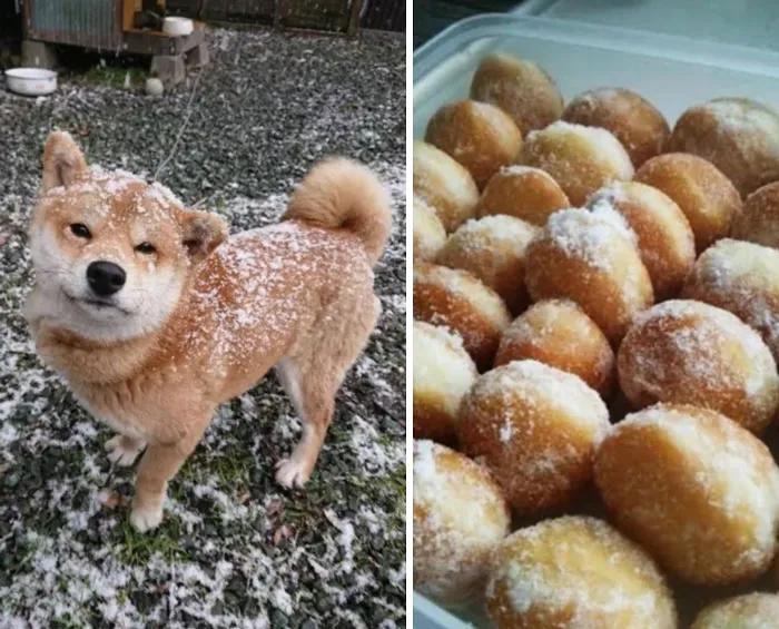 Spot The Difference