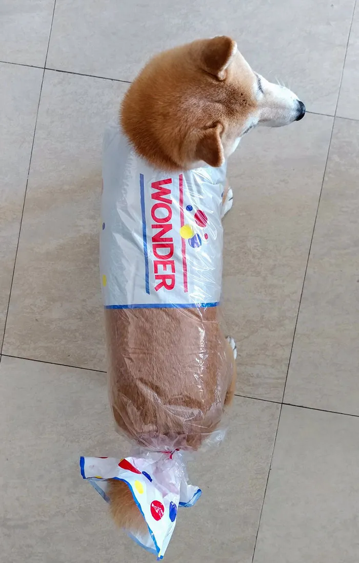 The Goodest Bread