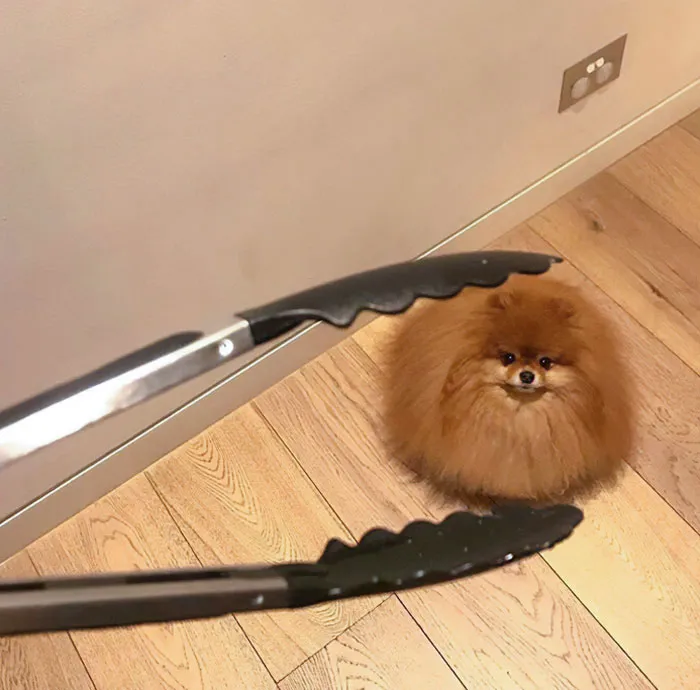 When A Meatball Falls Out Of The Pan