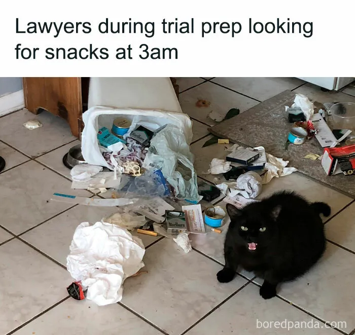 30 Hilarious ‘Attorney Problems’ Memes That May Hit Close To Home If You Work In Law