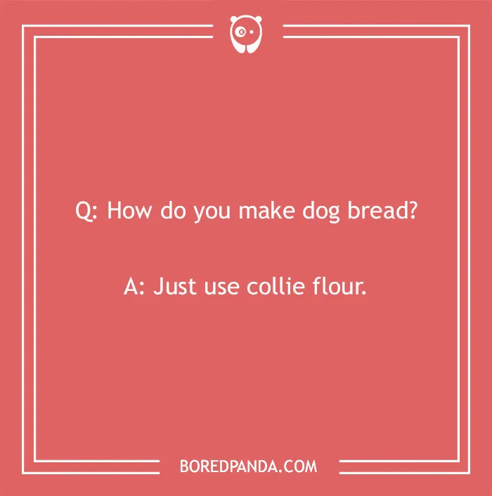Bread pun: How do you make dog bread? Use collie flour, humor on red background.