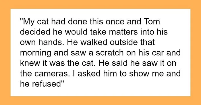 “[Am I The Jerk] For Calling Off My $40K Wedding Because My Fiancé Dropped My Cat Off Somewhere?”