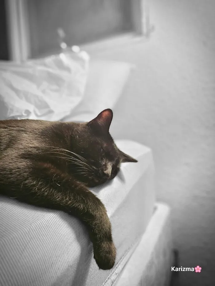 Melancholy