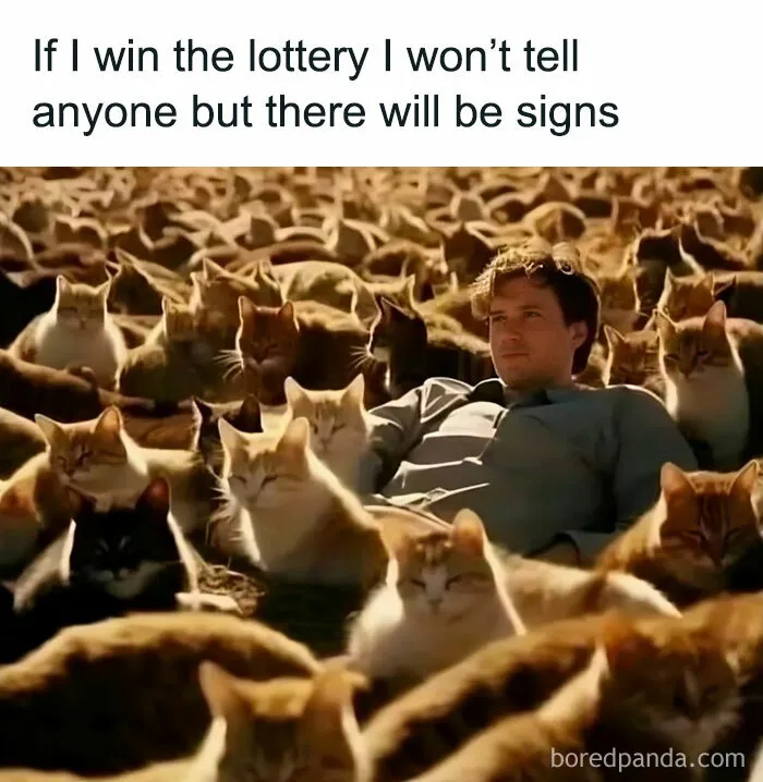 If I Win The Lottery, There Will Be Signs
