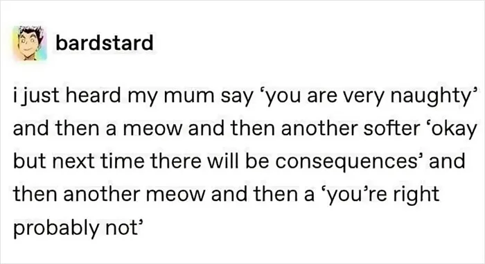 When Cats Negotiate Like Humans