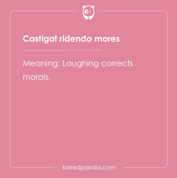 99 Cool Latin Words and Phrases to Add to Your Lingua