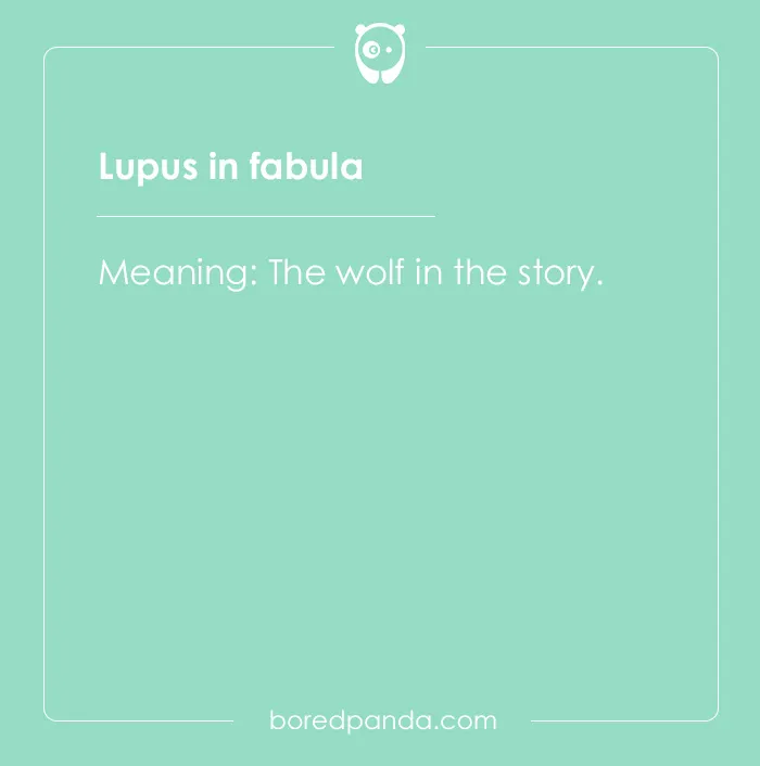 99 Cool Latin Words and Phrases to Add to Your Lingua