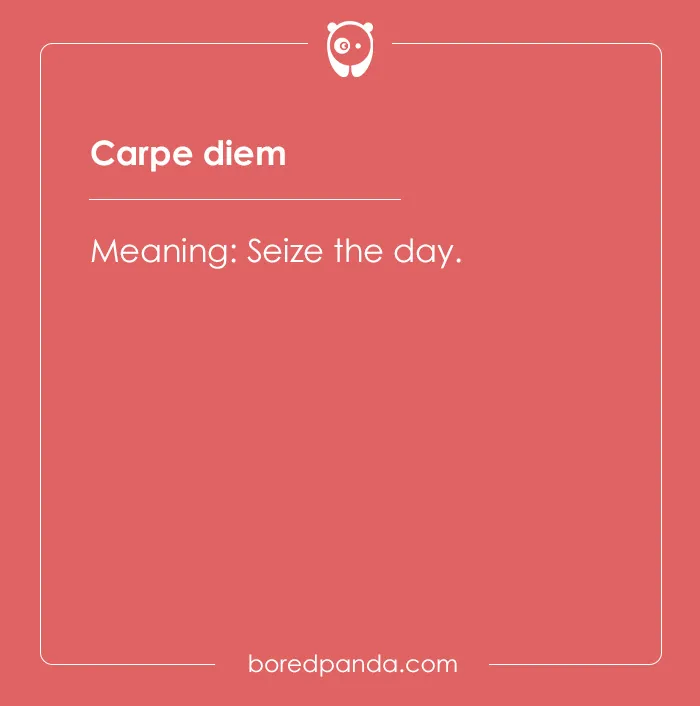 99 Cool Latin Words and Phrases to Add to Your Lingua