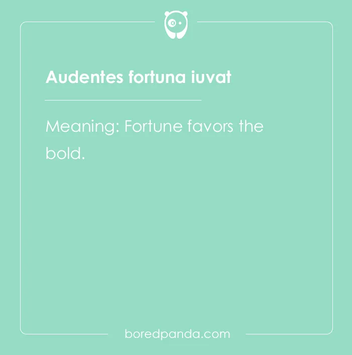 99 Cool Latin Words and Phrases to Add to Your Lingua