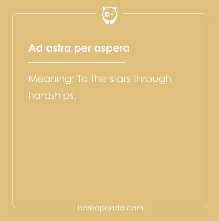 99 Cool Latin Words and Phrases to Add to Your Lingua