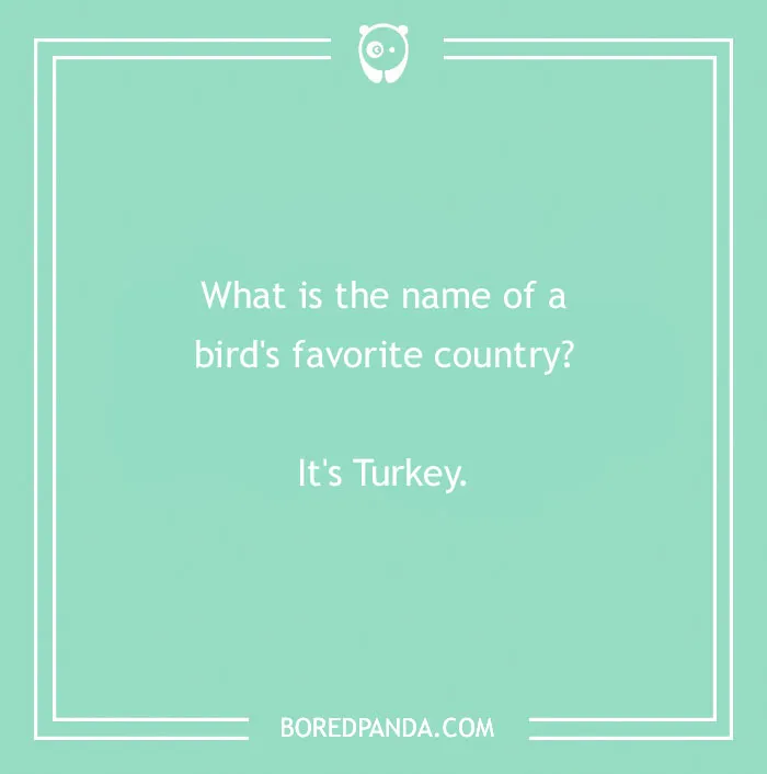 Funny country joke about a bird's favorite country, featuring a playful pun on "Turkey."