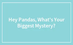 Hey Pandas, What's Your Biggest Mystery? (Closed)
