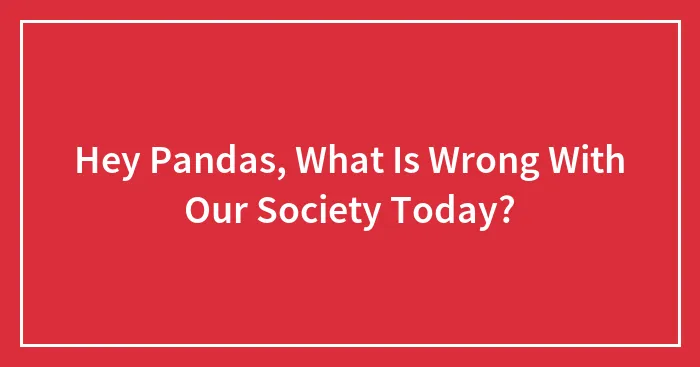 Hey Pandas, What Is Wrong With Our Society Today? (Closed)