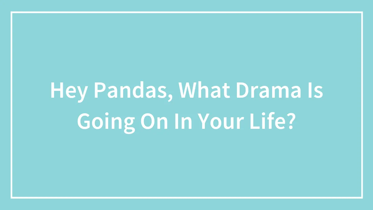 Hey Pandas, What Drama Is Going On In Your Life? (Closed)