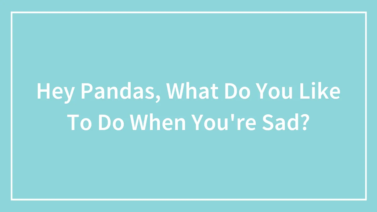 Hey Pandas, What Do You Like To Do When You're Sad? (Closed)