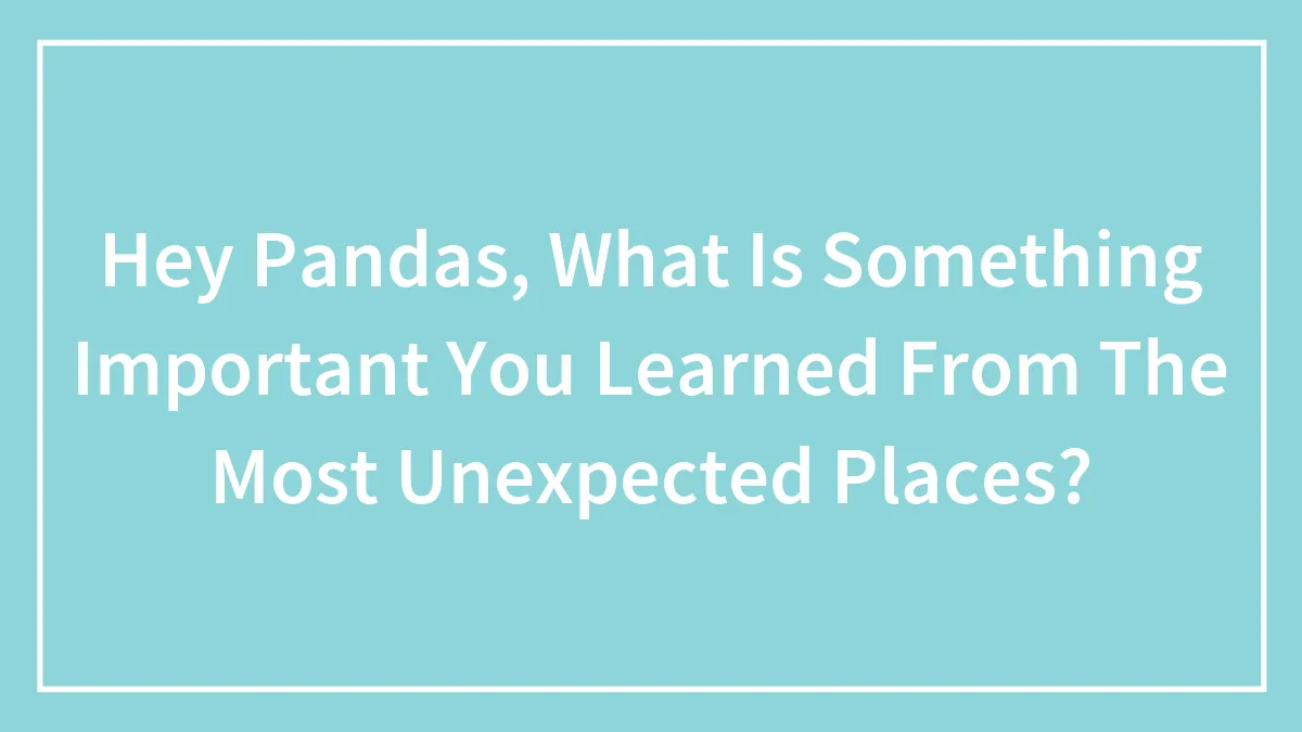 Hey Pandas, What Is Something Important You Learned From The Most Unexpected Places?