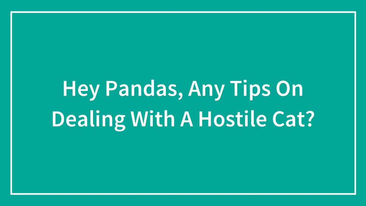 Hey Pandas, Any Tips On Dealing With A Hostile Cat?