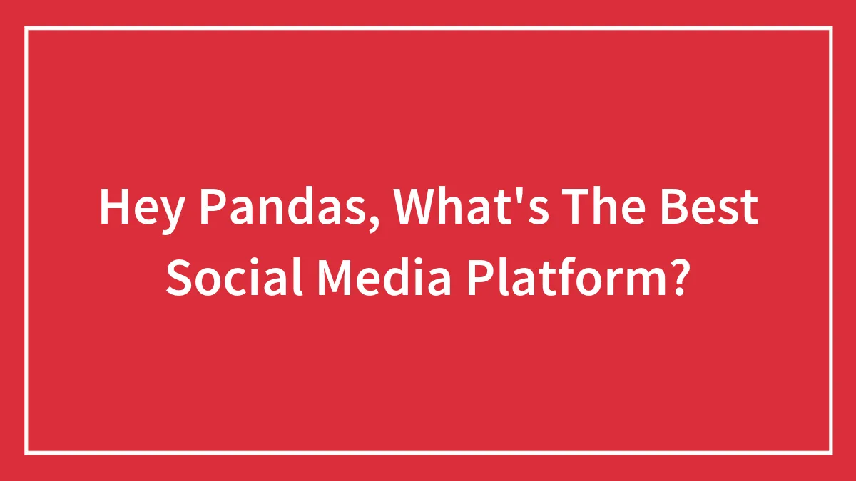 Hey Pandas, What's The Best Social Media Platform?