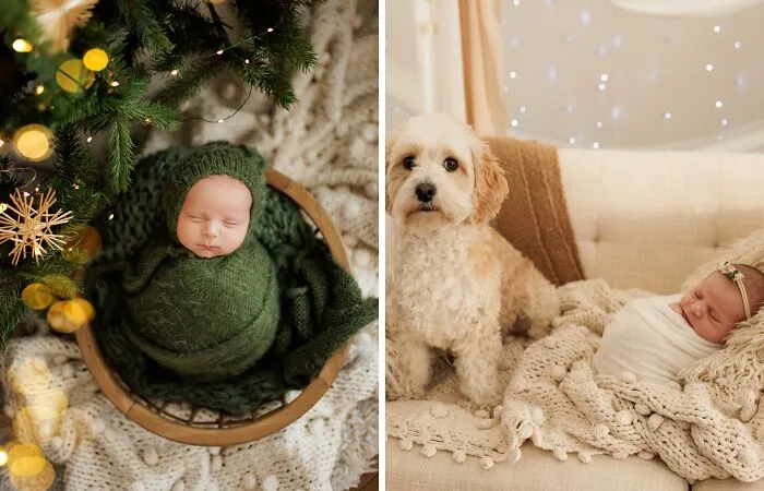 I Have Photographed A Lot Of Adorable Babies This Winter (10 Pics)
