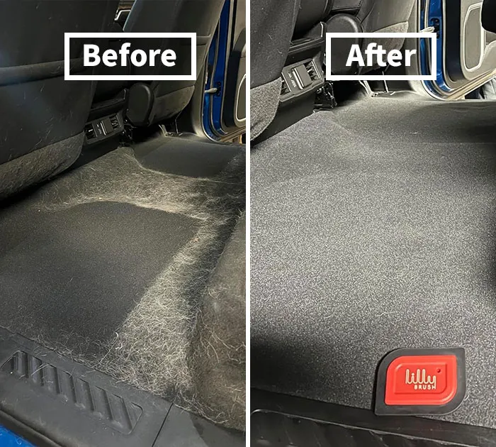 Fur-Free Zone: <span Style="Font:inherit;color:#d74b1f;"> Pet Hair Remover </Span>for Car Carpet & Couch - Clean With Ease!