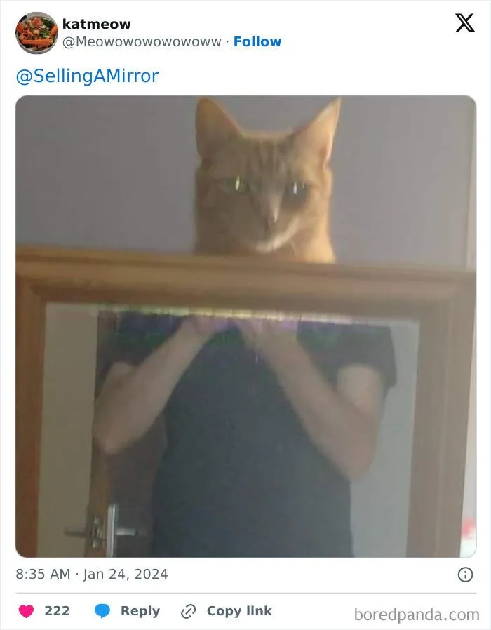 This Page Shares Pics Of People Trying To Sell Mirrors, And It's Comedy Gold (40 New Pics)