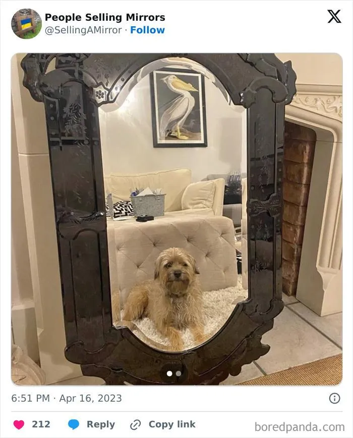 This Page Shares Pics Of People Trying To Sell Mirrors, And It's Comedy Gold (40 New Pics)