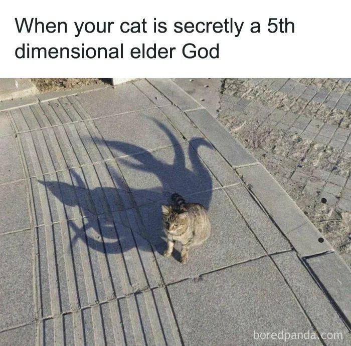 “When Your Cat’s a God in Disguise”
