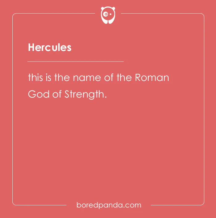 135 Unique and Cute Pet Names To Melt Your Heart