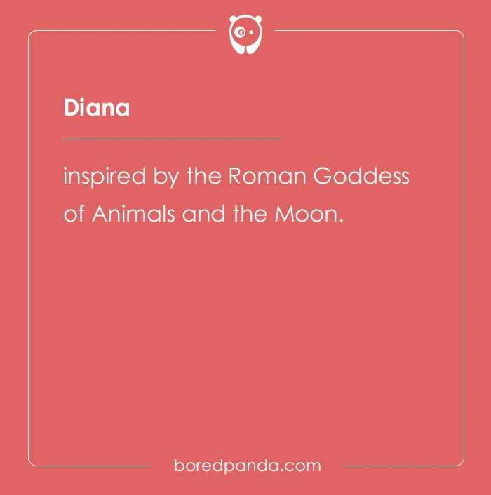 135 Unique and Cute Pet Names To Melt Your Heart