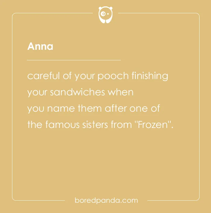135 Unique and Cute Pet Names To Melt Your Heart