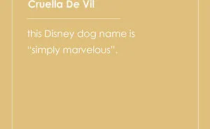 135 Unique and Cute Pet Names To Melt Your Heart