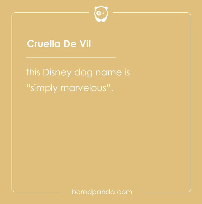 Cute-Names-For-Pet