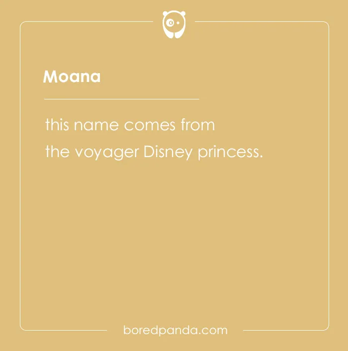 135 Unique and Cute Pet Names To Melt Your Heart