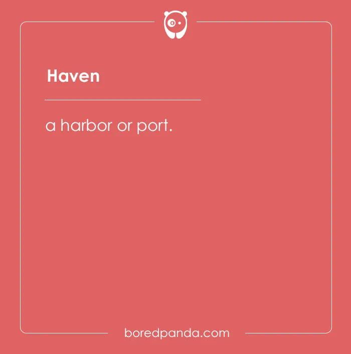 135 Unique and Cute Pet Names To Melt Your Heart