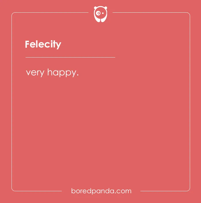 135 Unique and Cute Pet Names To Melt Your Heart