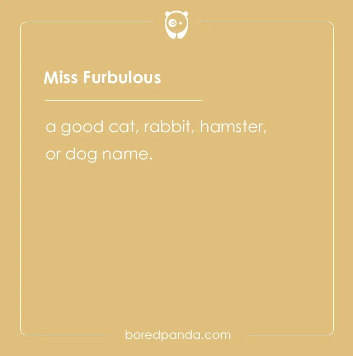 135 Unique and Cute Pet Names To Melt Your Heart