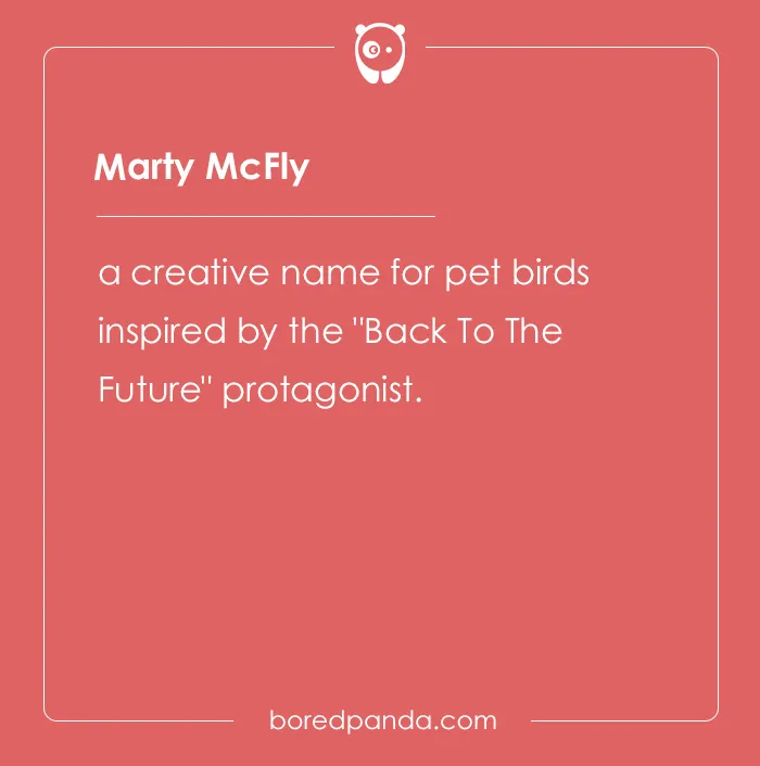135 Unique and Cute Pet Names To Melt Your Heart