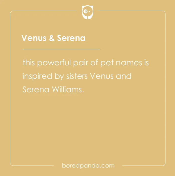 135 Unique and Cute Pet Names To Melt Your Heart