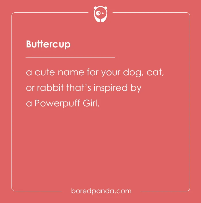 135 Unique and Cute Pet Names To Melt Your Heart