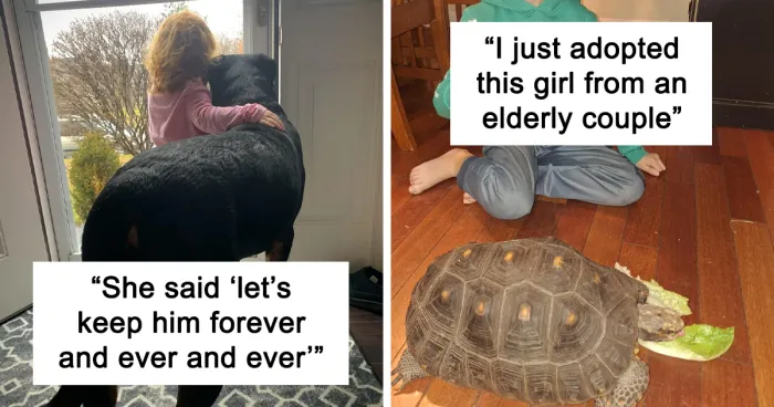 50 Adopted Pets Who Brought Joy To Their New Owners And The Entire Internet This Month (February Edition)