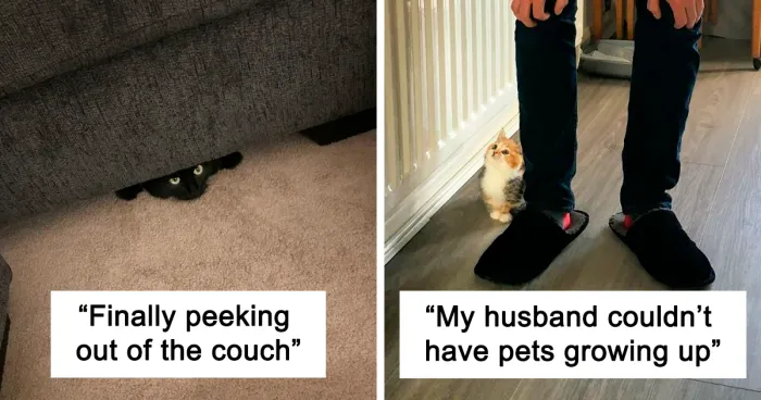 50 Of The Most Heartwarming Pics And Stories Of Happily Adopted Pets (Best-Of-All-Time Edition)