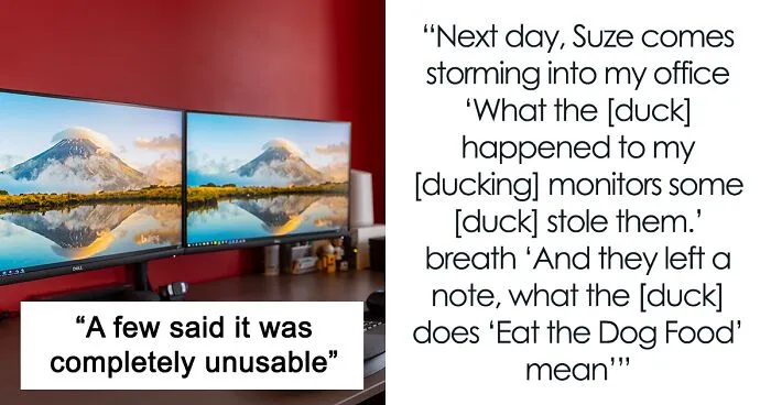 Team Manager Takes Designer's Big Monitors Away To Show How Real Users See Her Designs
