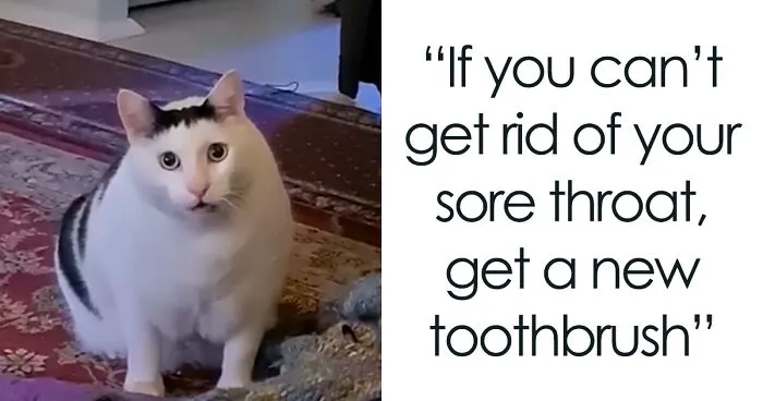 25 Times People Were Given Advice That They Thought Was A Joke Until They Decided To Try It