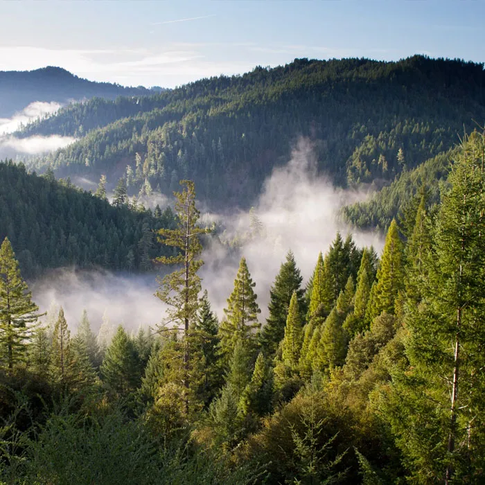 66 Earth Day Trivia Questions For Environmental Protection Enthusiasts
