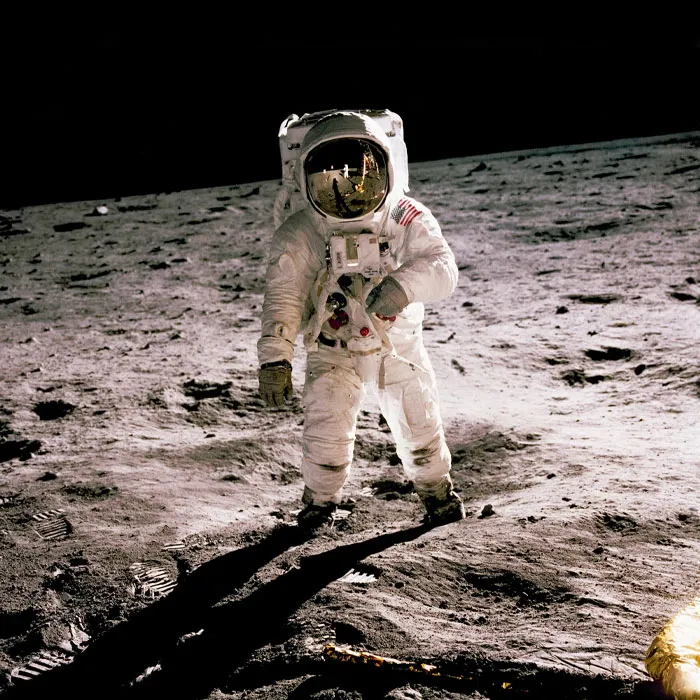 66 Earth Day Trivia Questions For Environmental Protection Enthusiasts