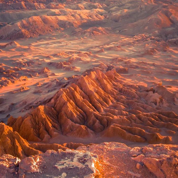 66 Earth Day Trivia Questions For Environmental Protection Enthusiasts