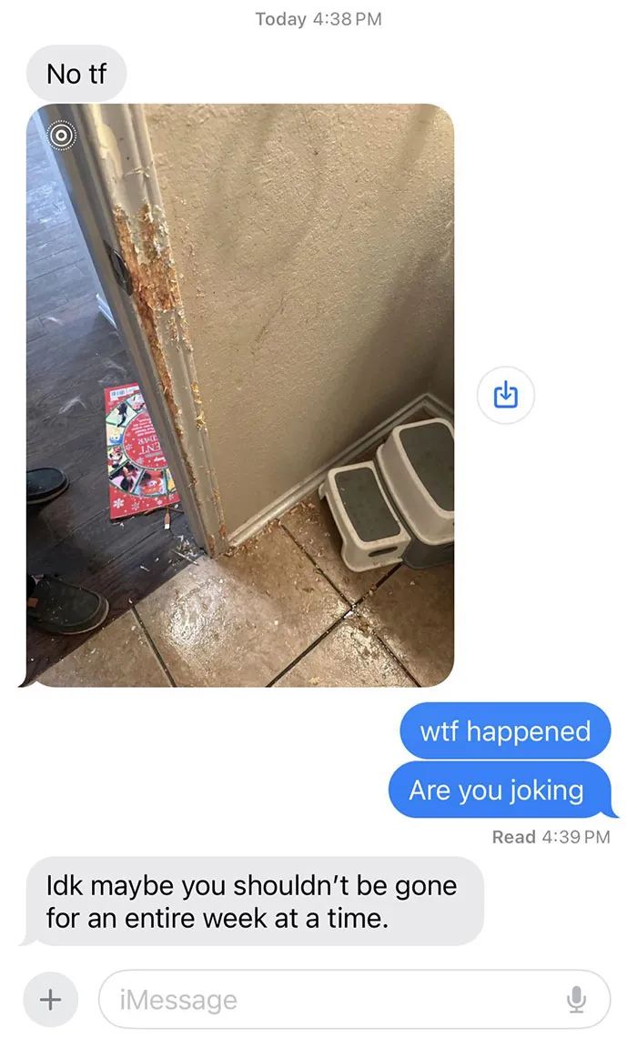 Our Dog Destroyed Trim