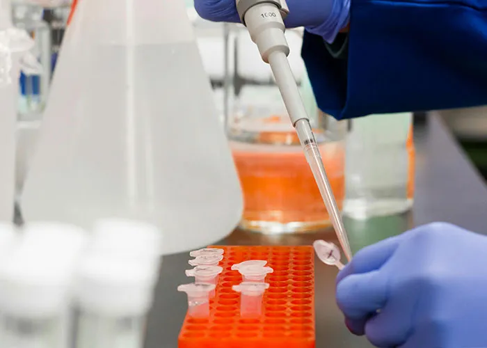 30 Facts People Learned In School That Are Now Disproven Because Science Moved Forward