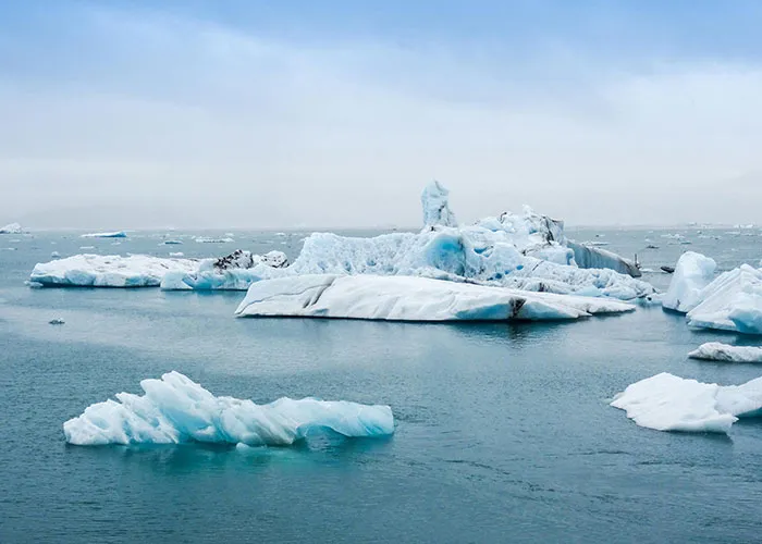 30 Facts People Learned In School That Are Now Disproven Because Science Moved Forward