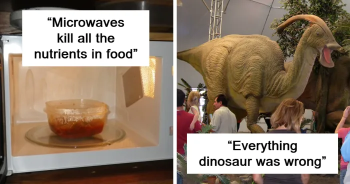 30 Facts People Learned In School That Are Now Disproven Because Science Moved Forward